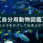 動物園や水族館に行く前に入れたいアプリ『LINNE LENS』